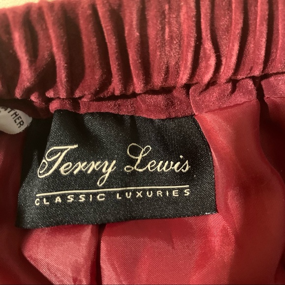 Terry Lewis Classic Luxuries genuine suede leather pants size 8 - Picture 4 of 9